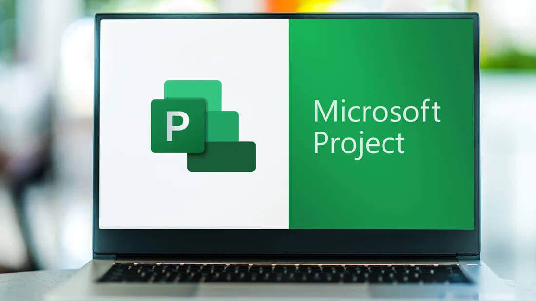 Microsoft Project 2024 Professional